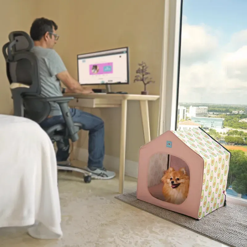💤 Portable Bed Dog / Cat House   Removable Cushion Bed Included