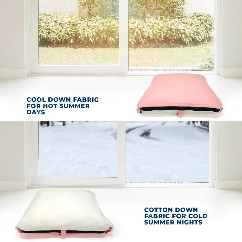 💤 Portable Bed Dog / Cat House   Removable Cushion Bed Included