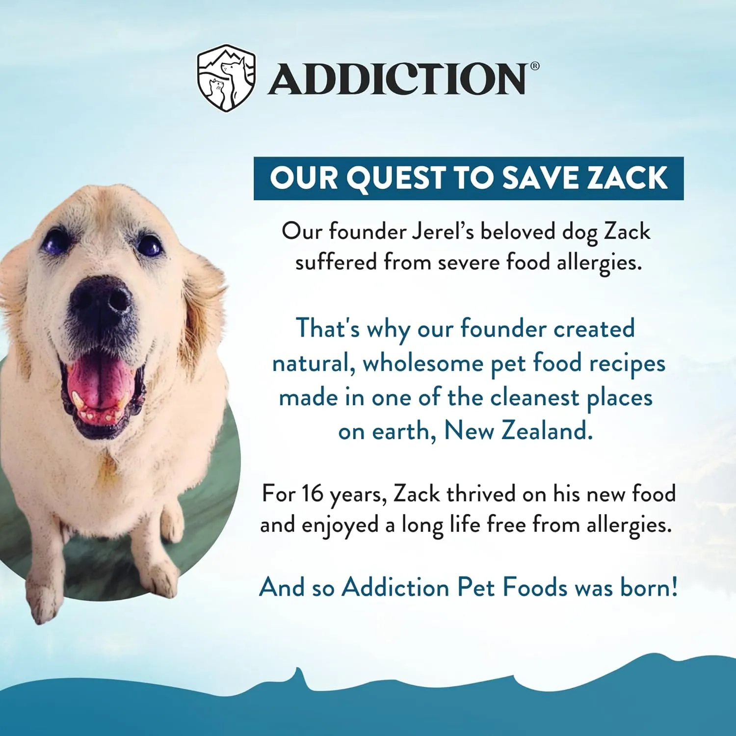Addiction Meaty Bites - Hypoallergenic Dog Treats - Made in New Zealand - High Meat Content - Gluten and Grain-Free - Soft and Allergy Friendly Dog Treats (Beef, 4 Ounces - 3 Packs)