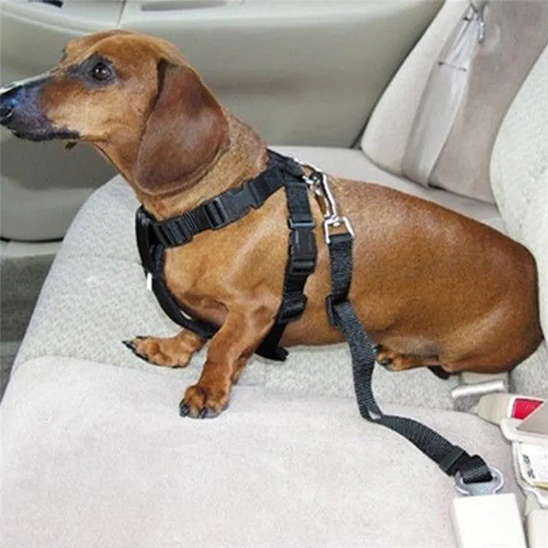 Adjustable Dog Car Seat Belt