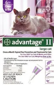 Advantage II Large Cat