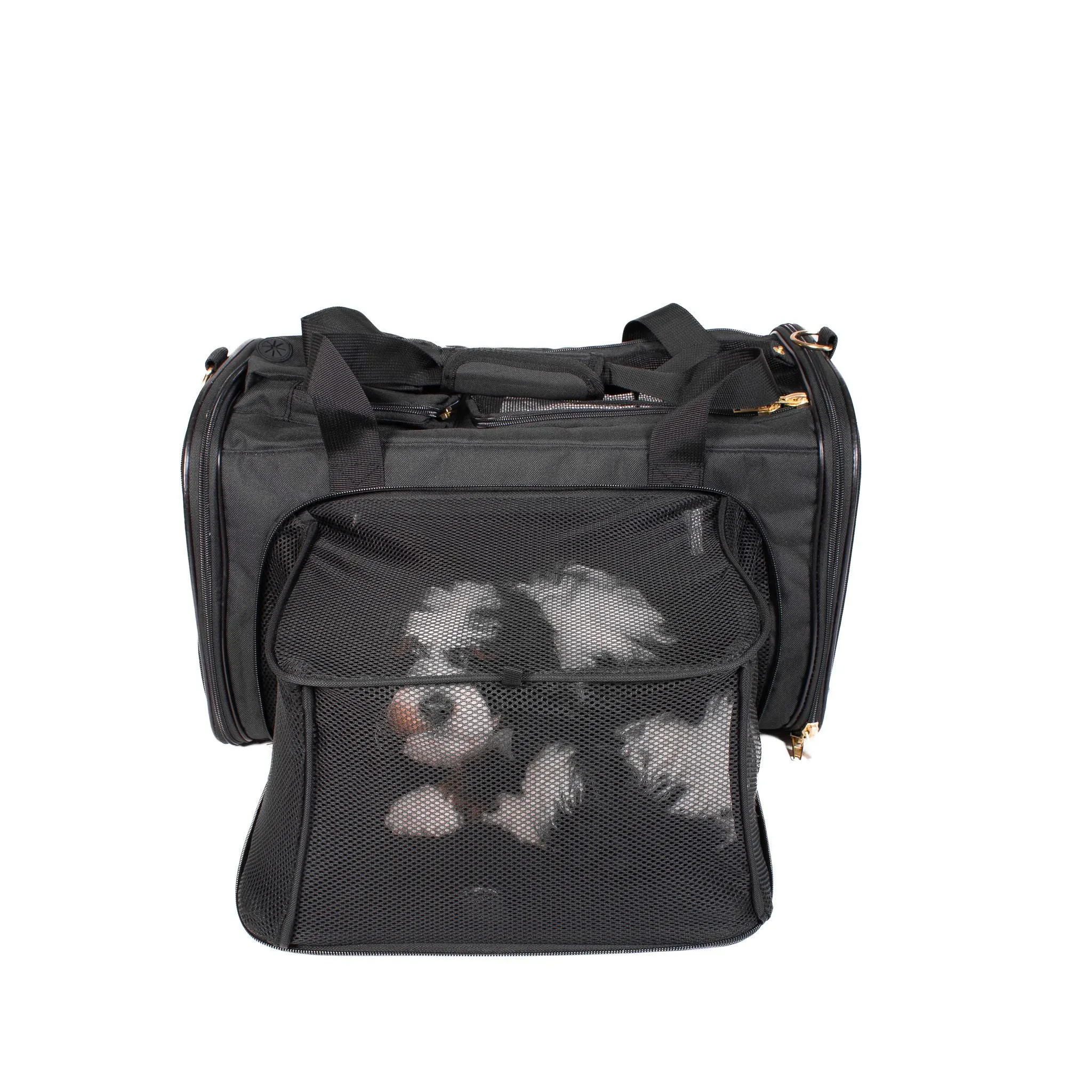 Air Pup Travel Carrier