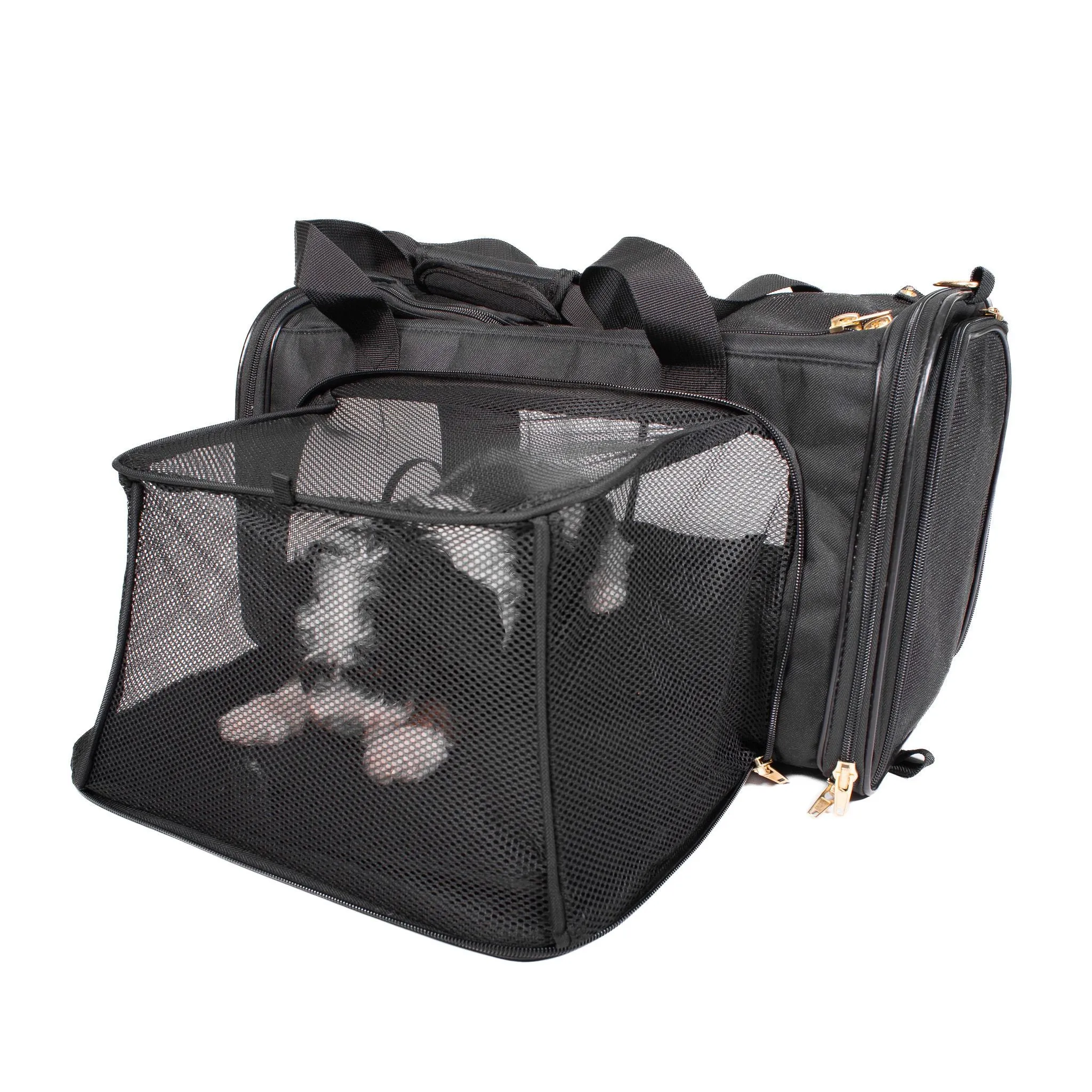 Air Pup Travel Carrier