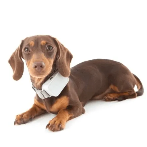 Barktec Rechargeable Citronella Spray Collar Bundle