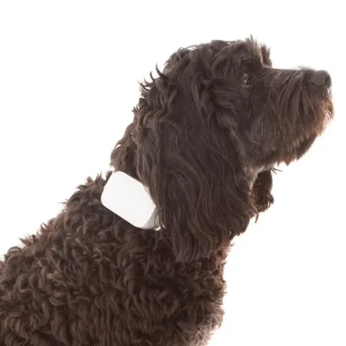 Barktec Rechargeable Citronella Spray Collar Bundle