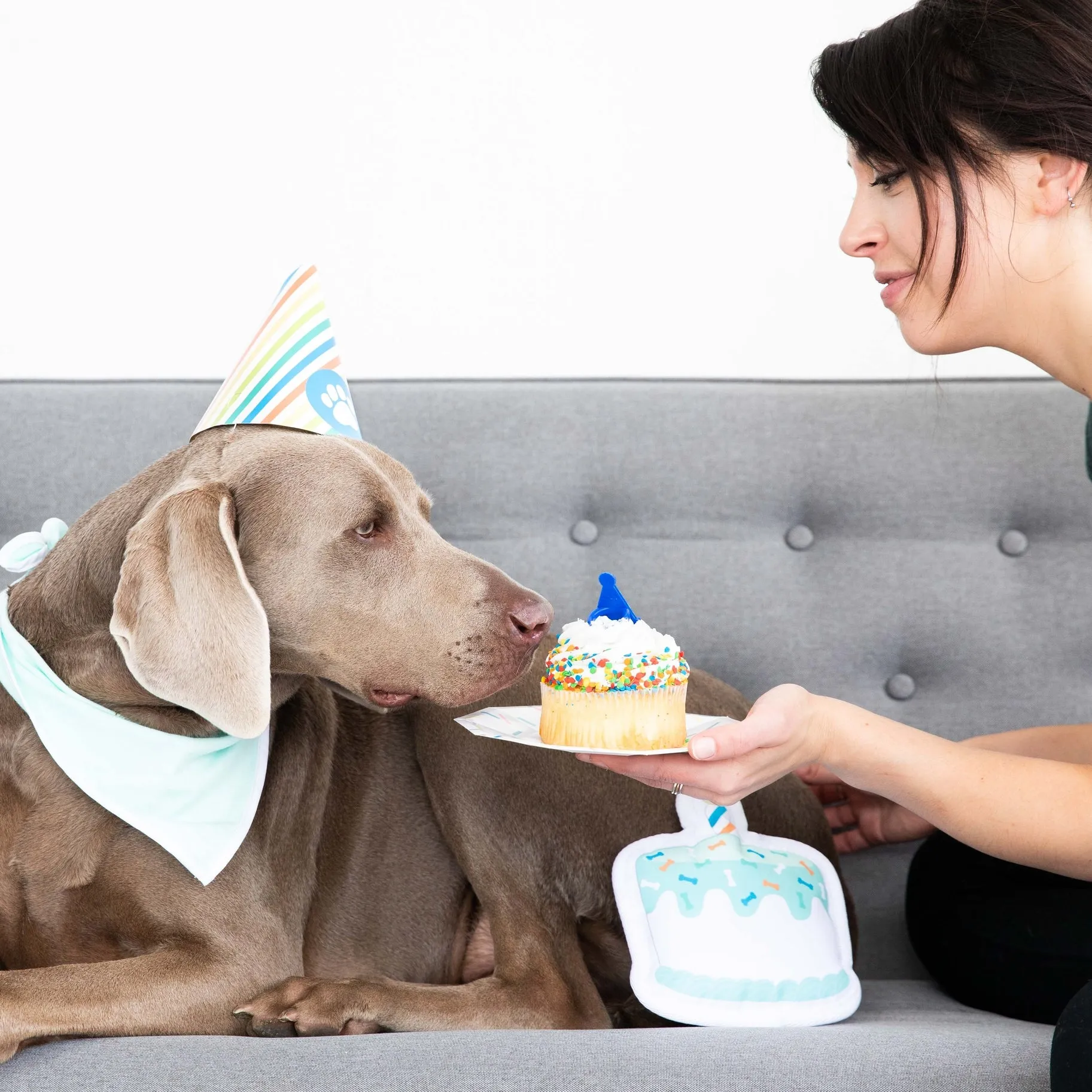Birthday Pawty Dog Kit
