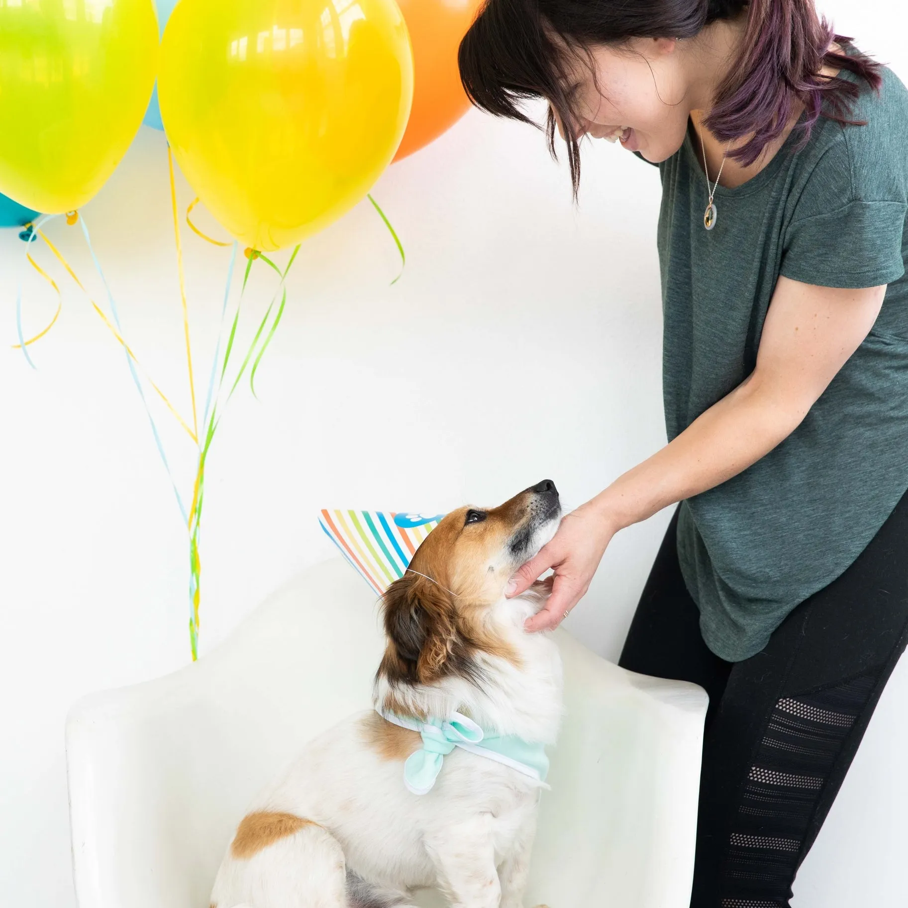 Birthday Pawty Dog Kit
