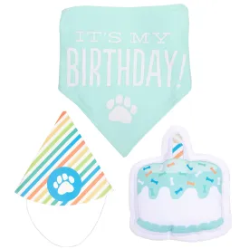 Birthday Pawty Dog Kit