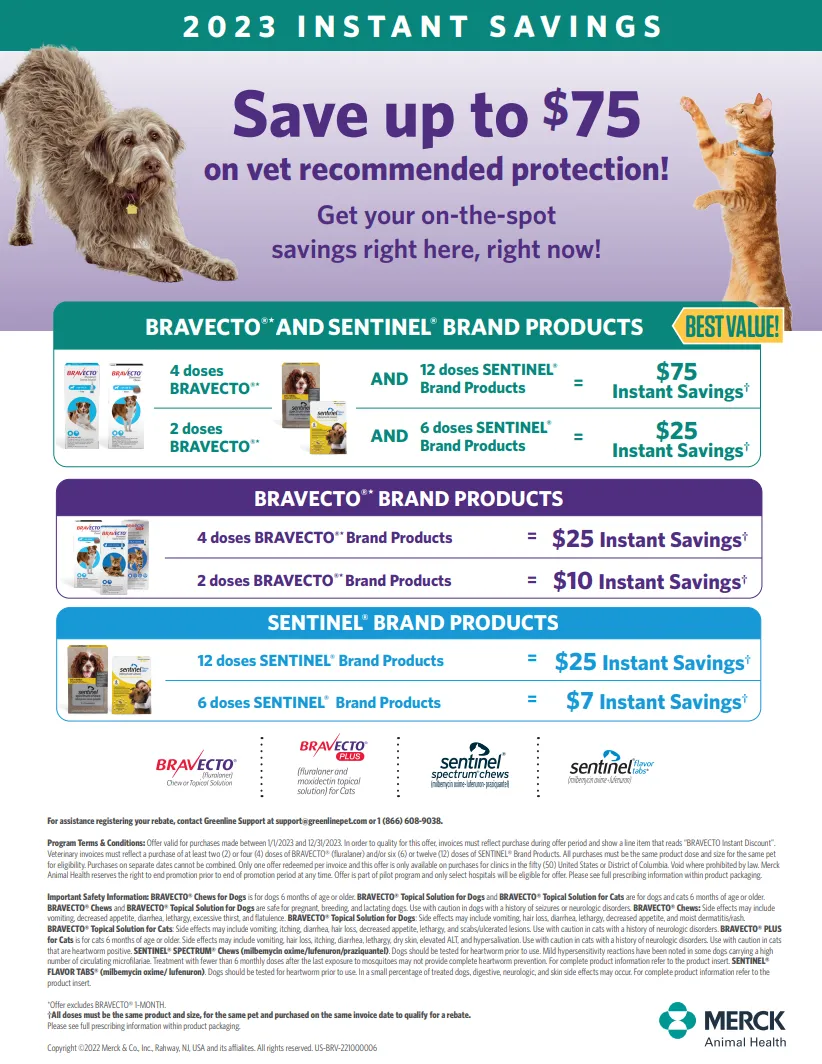Bravecto for Cats