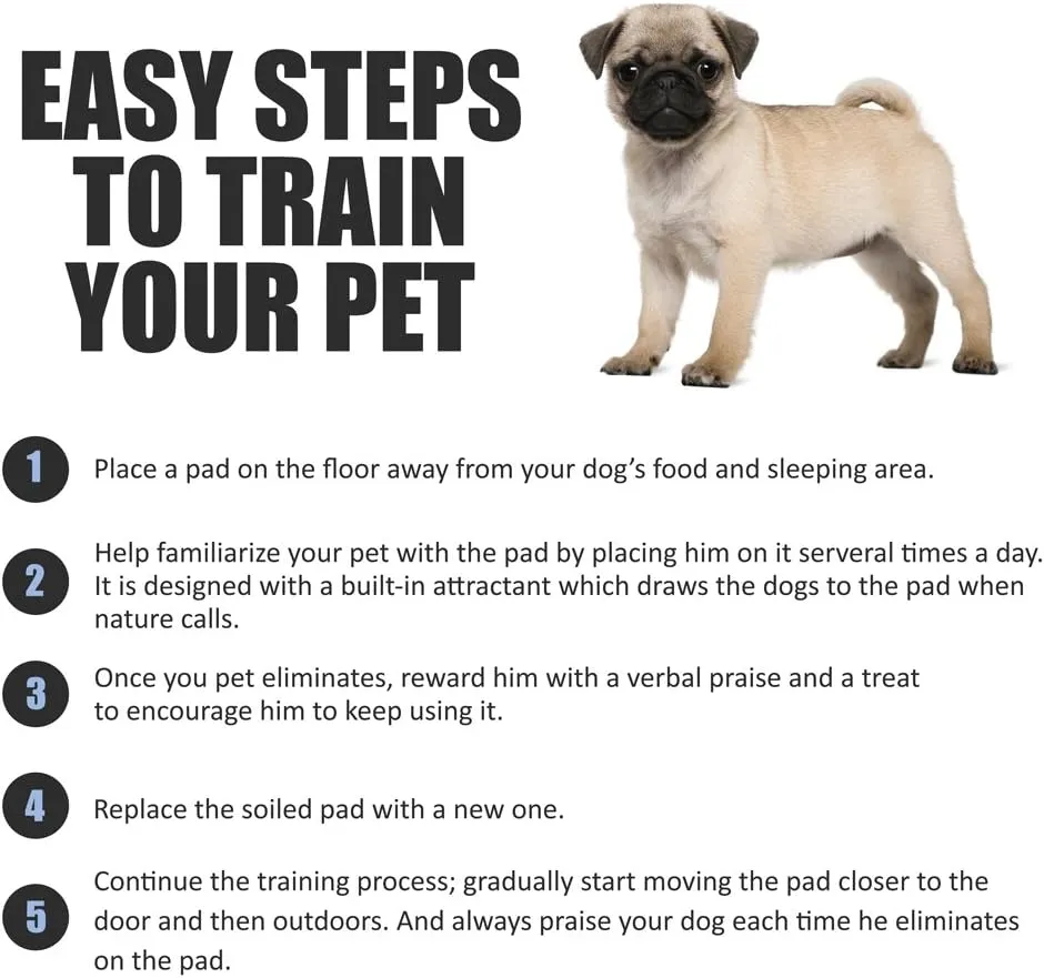 BV Puppy Pads Leak-Proof 100 Count 22"x 22" | Pee Pads for Dogs Quick Absorb 6-Layer - Dog Pee Pads - Dog Pads 100 Pack - Potty Pads for Dogs - Puppy Pee Pads, Pee Pad Training Pads
