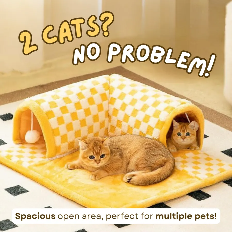 Cat Tunnel Bed