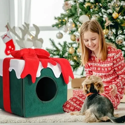 Comfortable Warm Cat Condo Tents in Winter