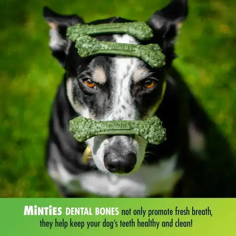Dental Bone Treats - 20 Ct for Dogs 40  lbs