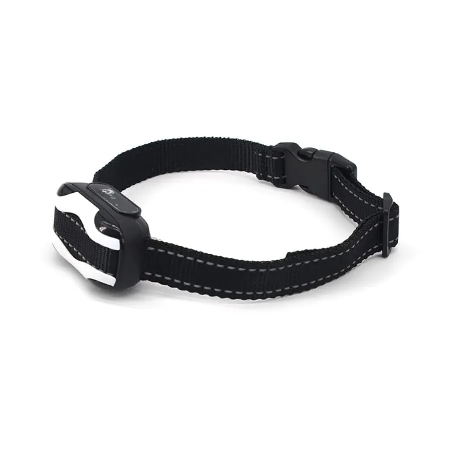 Dog Training Collar with remote Shock or No Shock color WHITE