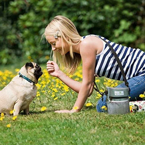 Dog Treat Training Pouch