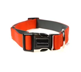 Doodlebone Padded Dog Collar - Tangerine Orange