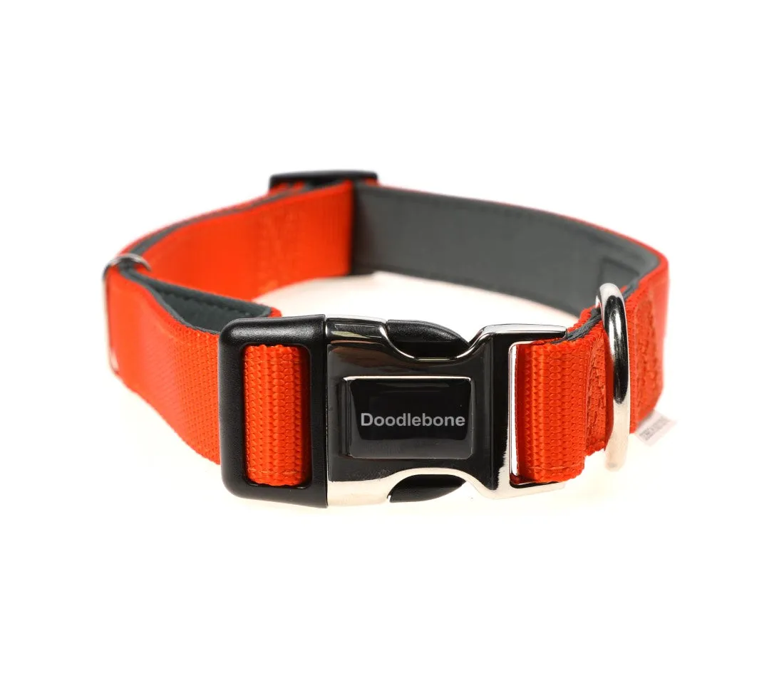 Doodlebone Padded Dog Collar - Tangerine Orange