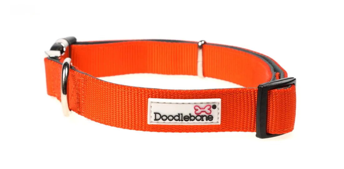 Doodlebone Padded Dog Collar - Tangerine Orange