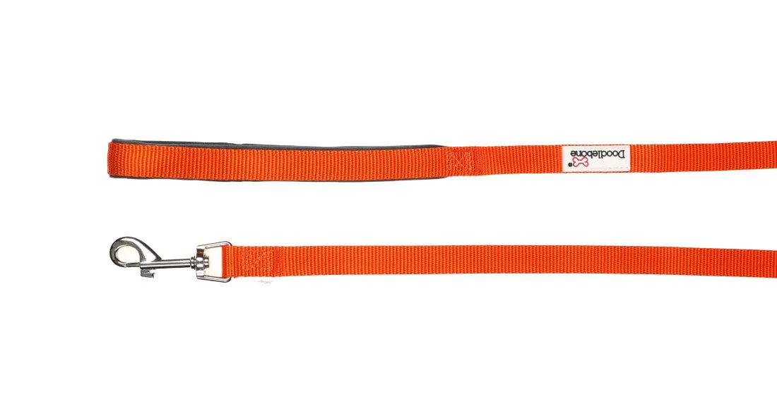 Doodlebone Padded Dog Collar - Tangerine Orange