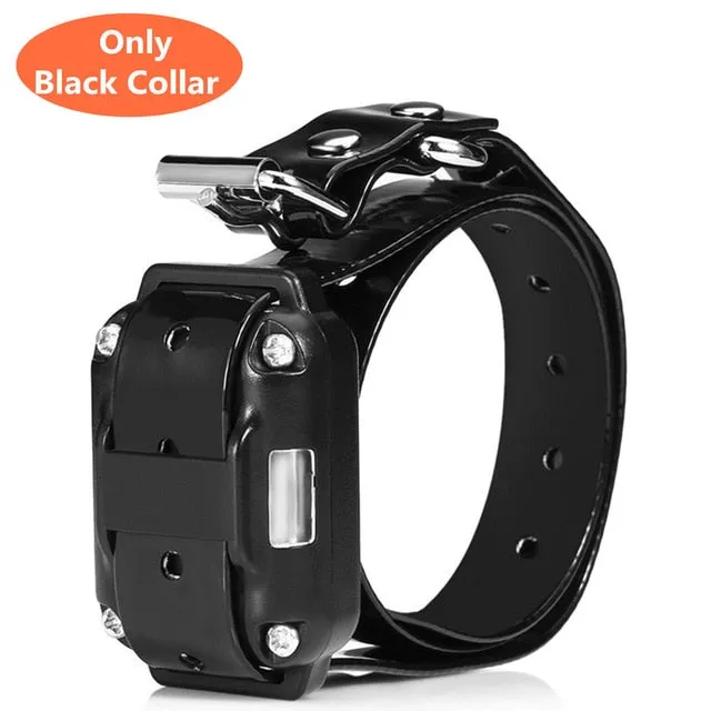 Electric Dog Training Collar Waterproof Rechargeable Remote Control Pet with LCD Display for All Size Bark-stop Collars 40% Off