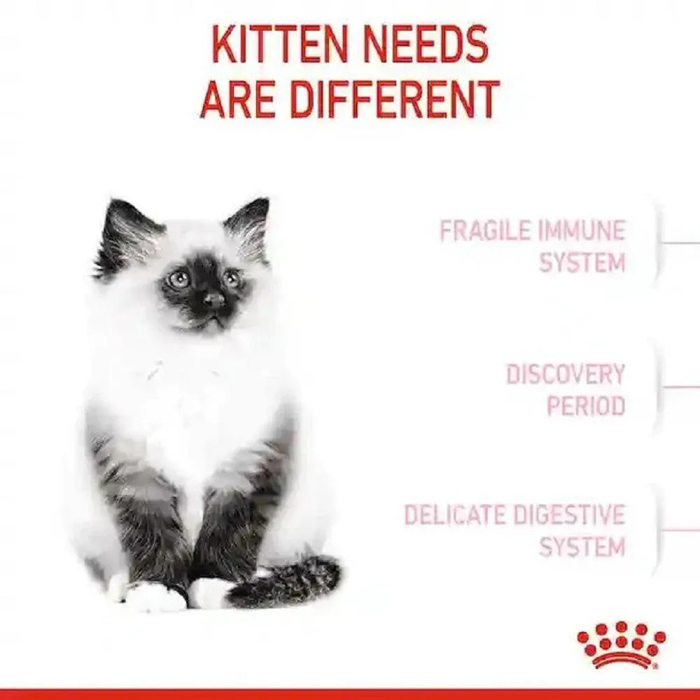 FHN Kitten for Up To 12 Months Cat Dry Food