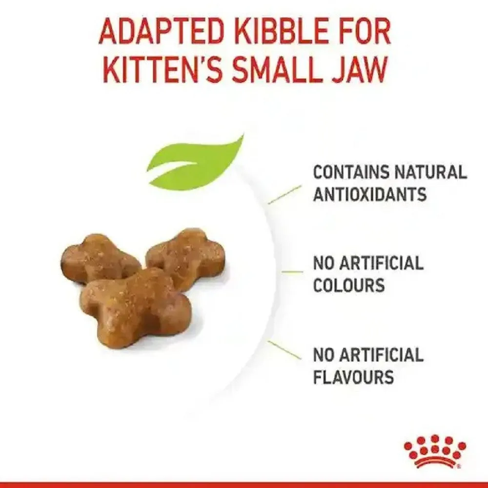 FHN Kitten for Up To 12 Months Cat Dry Food