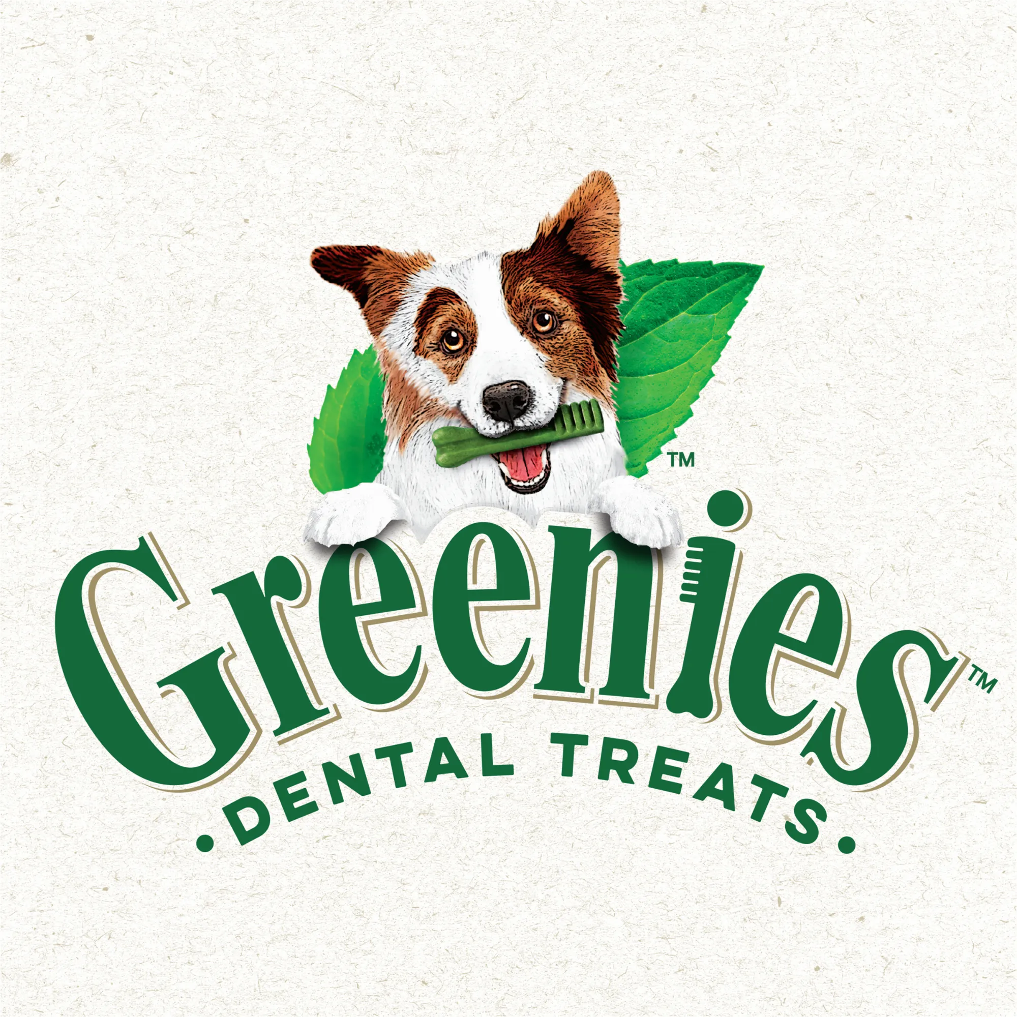 Greenies Dog Sweet Potato Dental Health Treats for Large Dogs 340g