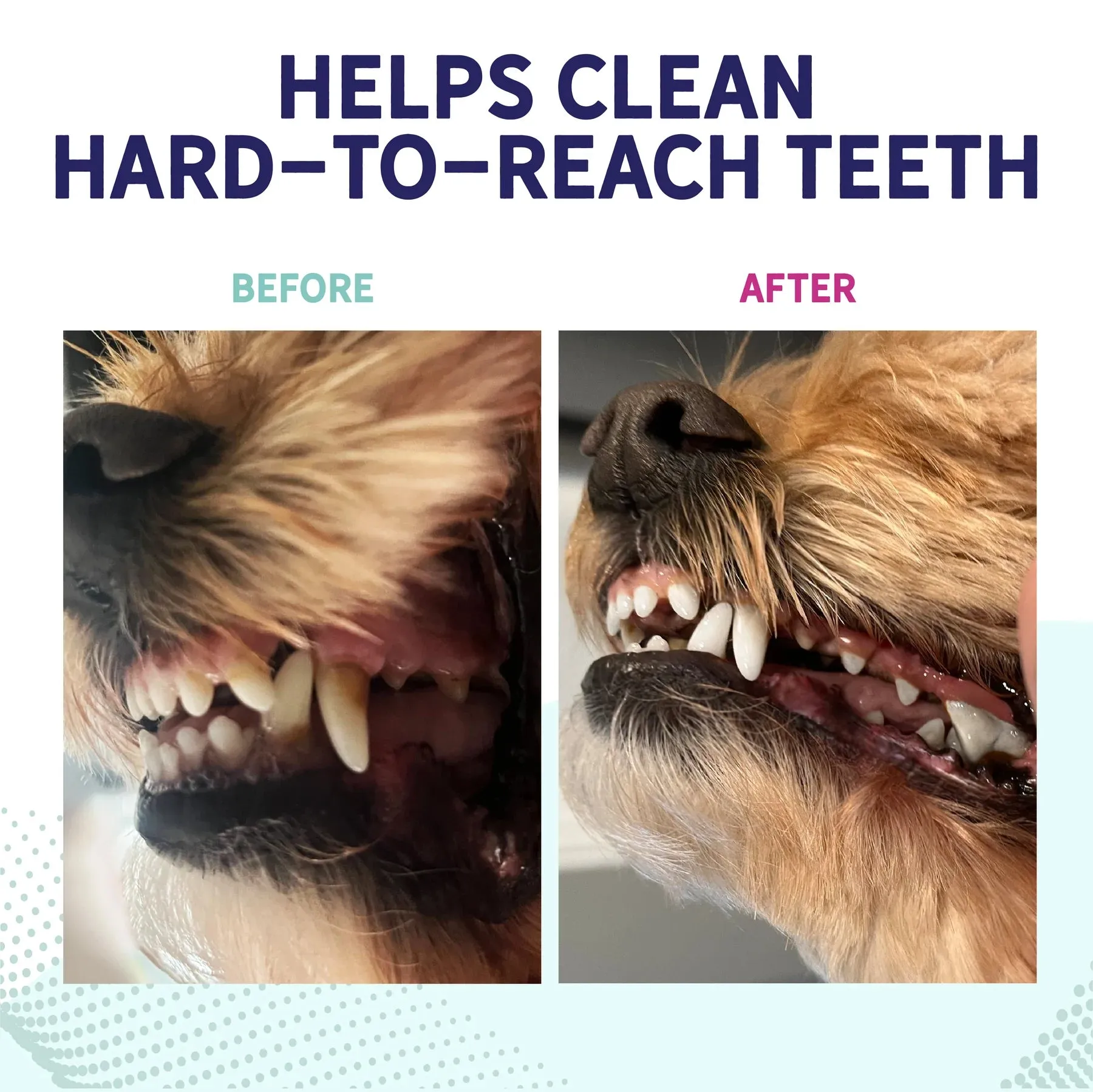 Health Extension Peanut Butter Flavor Dental Chews For Dogs