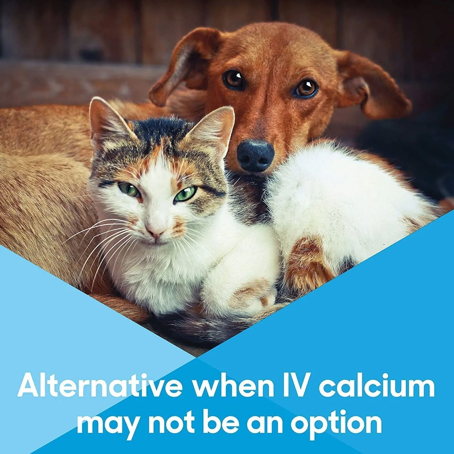 Lots of Love Calcium Now