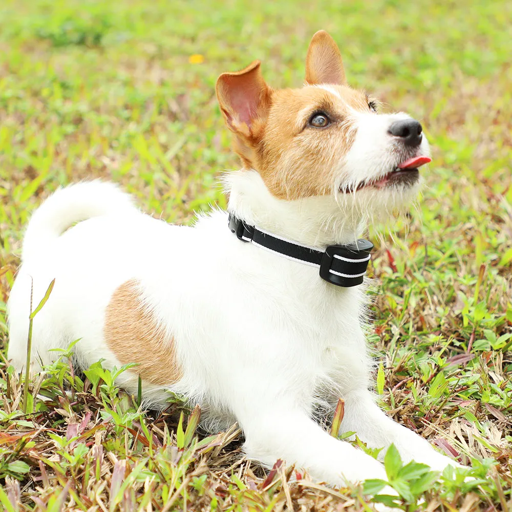 MASBRILL Small Dog Bark Collar, No Bark Collars Anti Barking Collar for Small Dogs Small Most Humane Stop Barking Collar Rechargeable Bark Collar with 7 Sensitivity and Intensity Beep Vibration Black