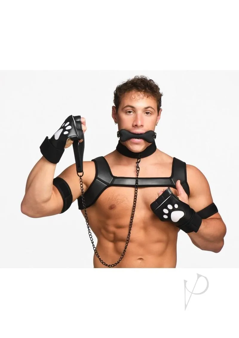 Ms Deluxe Pup Arsenal Set