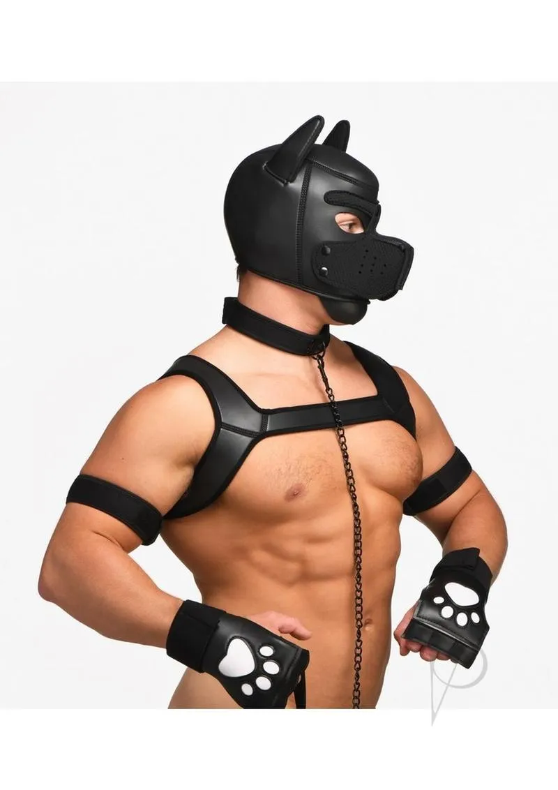 Ms Deluxe Pup Arsenal Set