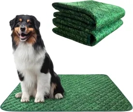 PawLyfe Reusable Pee Pads for Dogs - 2 Pack, 30" x 36" Washable Puppy Pads with Grass Print - Waterproof Dog Training Pee Mats - Non-Slip - Large Pet Pads for Indoors - Quilted Whelping Pads for Home