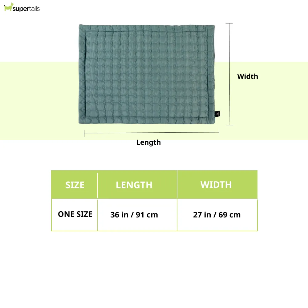 Pawpourri Travel Mat for Dogs (Blue)