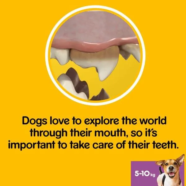 PEDIGREE DentaStix Daily Dental Chews Small Dog 105 Sticks