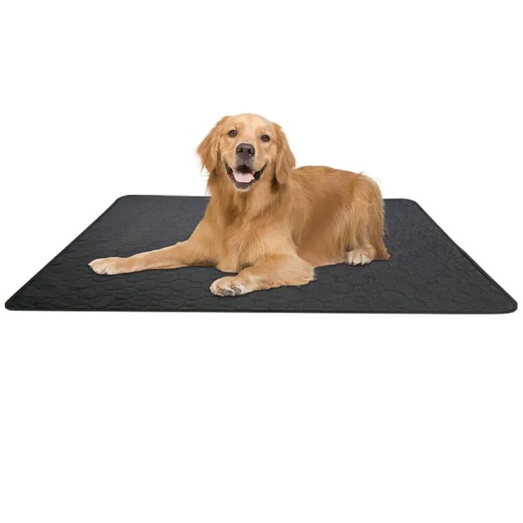 Pet Dog Pee Pad Training Pad Absorbent Mat