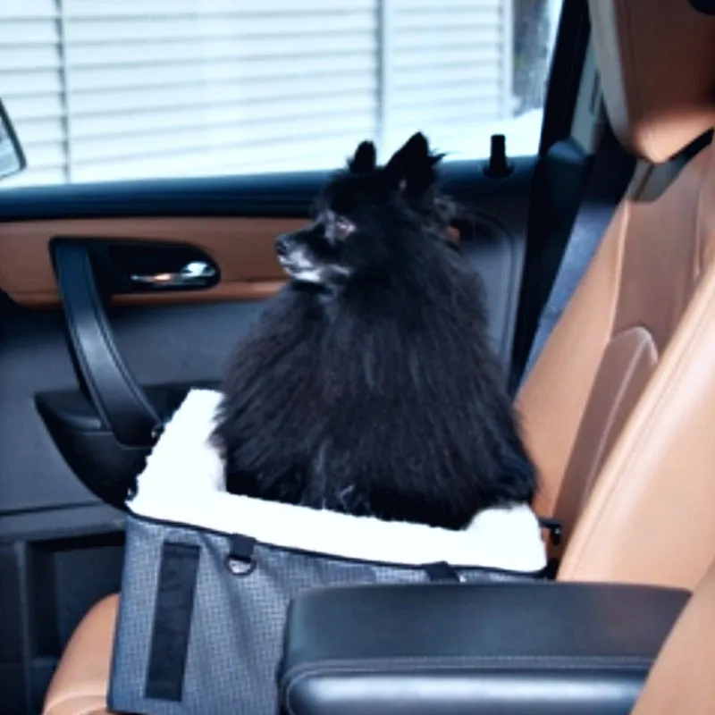 Pet Gear, Booster Car Seat & Dog - Medium
