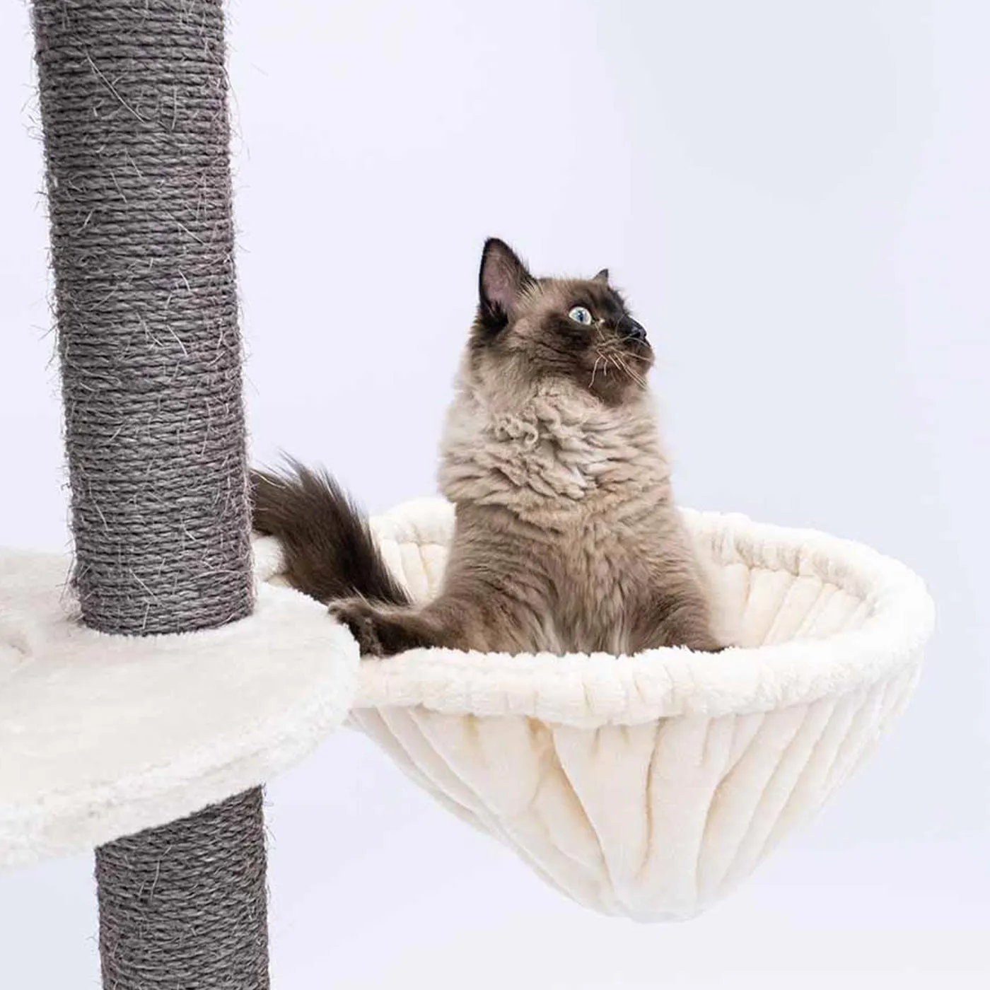 PetRebels Luxury Hammock Sleeper Round