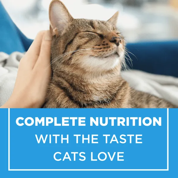 Purina Cat Chow Complete Dry Cat Food