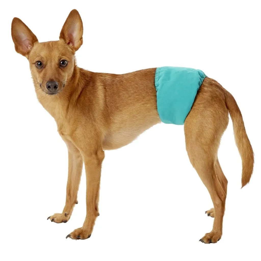Simple Solution Washable Male Dog Wrap