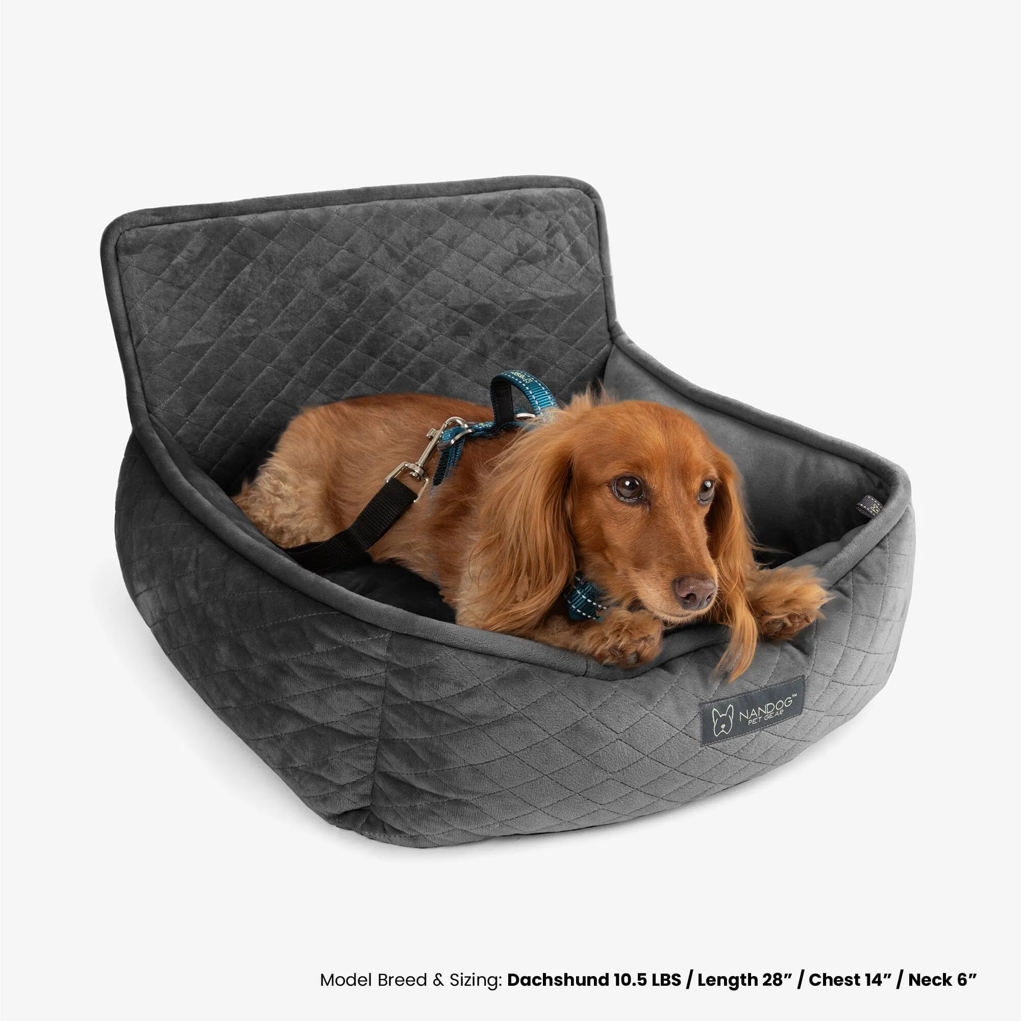 Small Dog Car Seat in Dark Gray