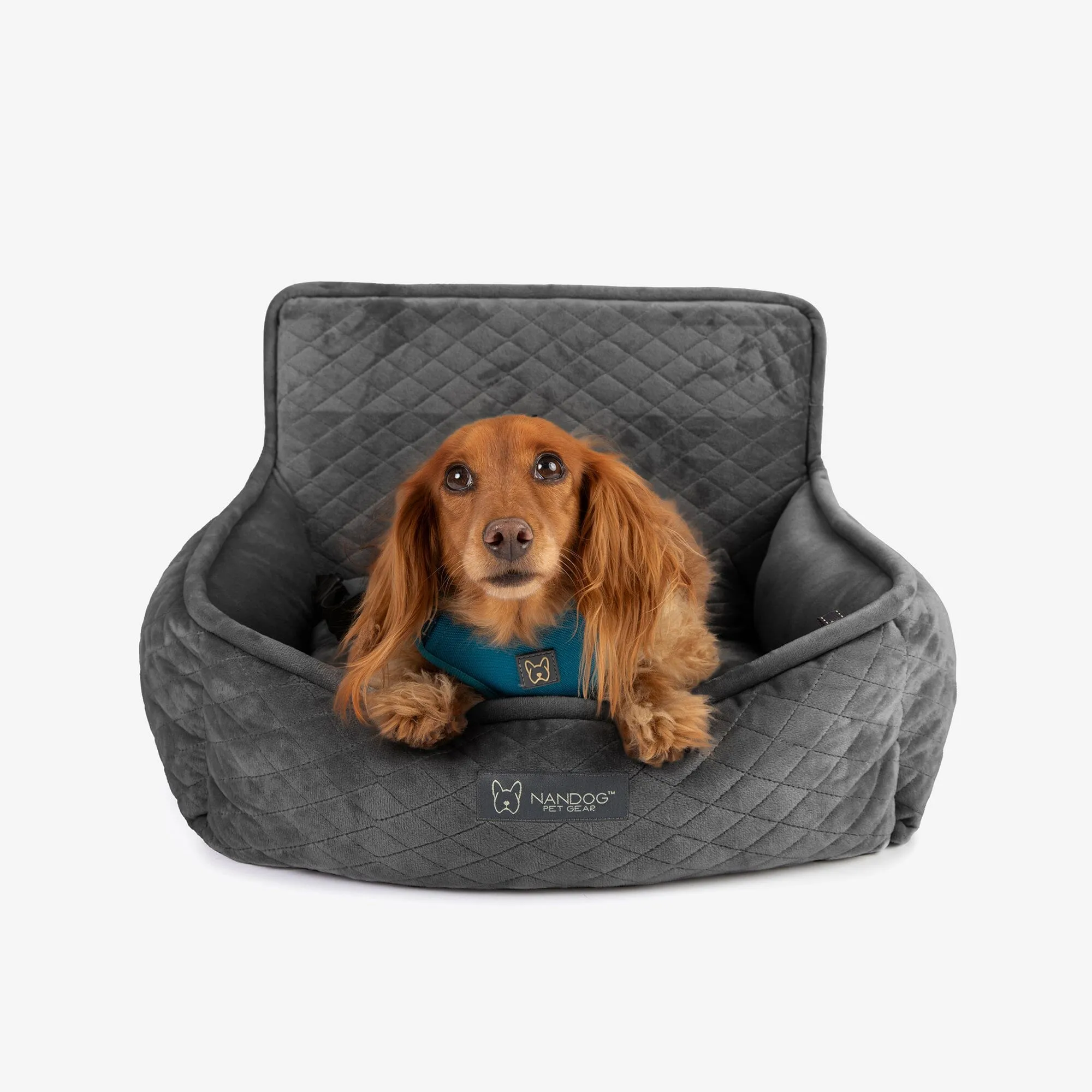 Small Dog Car Seat in Dark Gray