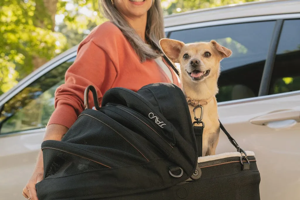 Tavo Pets Maeve Pet Car Seat - SMALL Flex