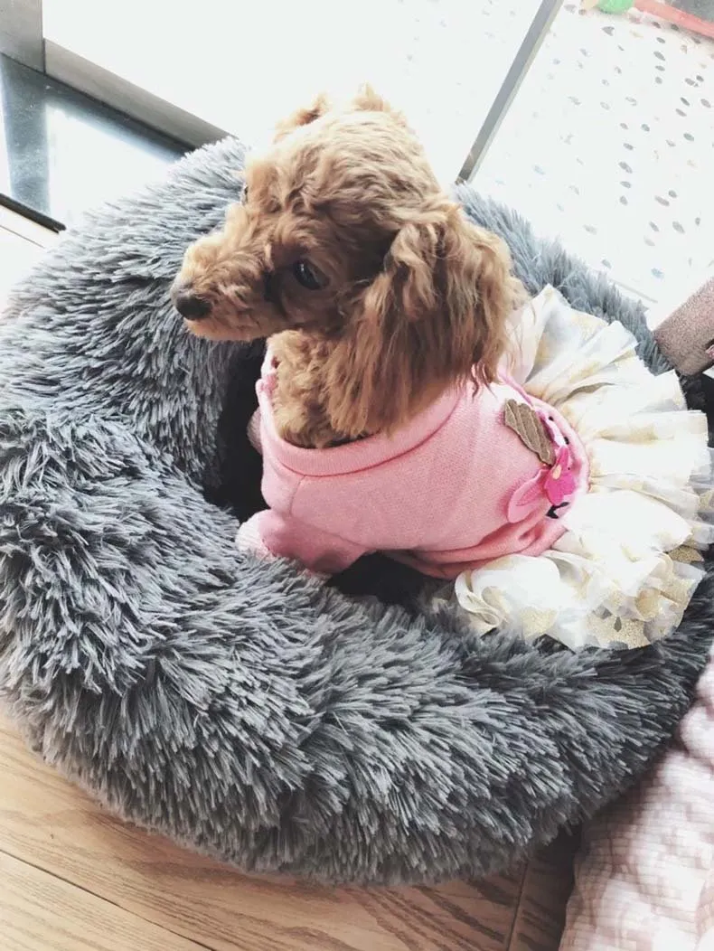 Teddy - Plush Calming Soft Pet Bed