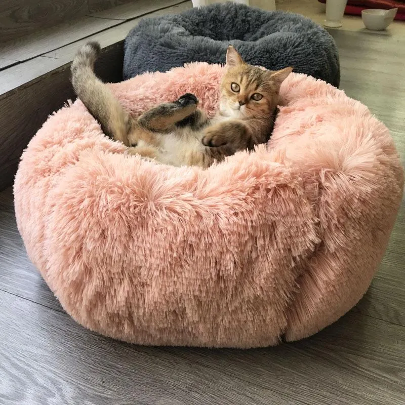 Teddy - Plush Calming Soft Pet Bed