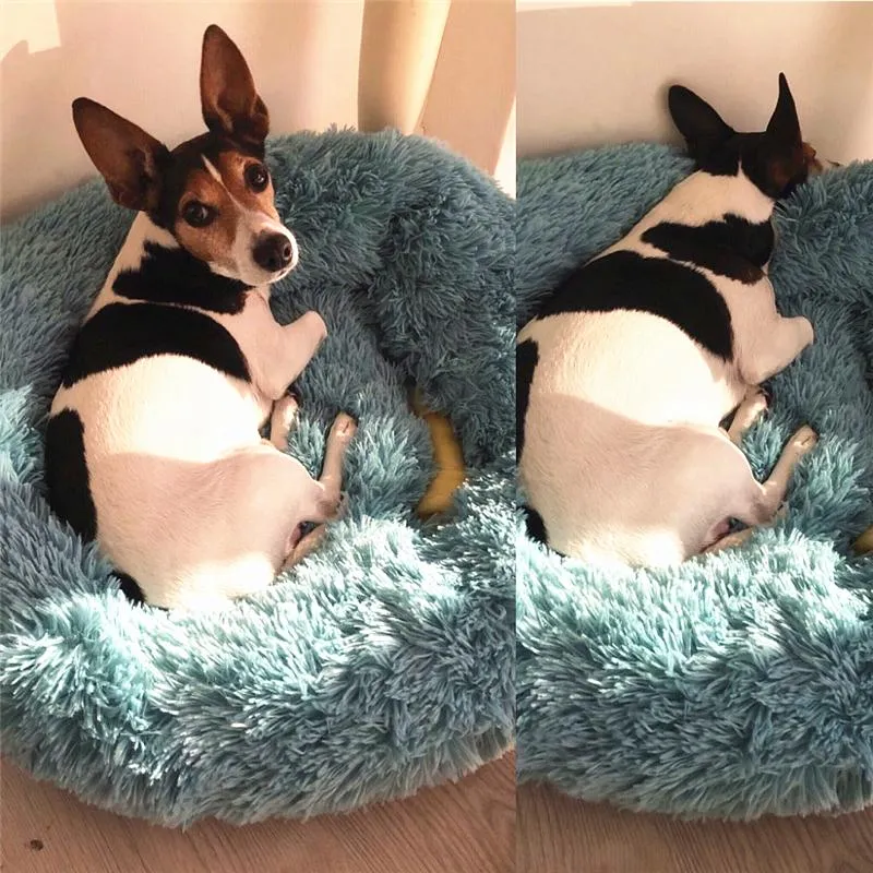 Teddy - Plush Calming Soft Pet Bed