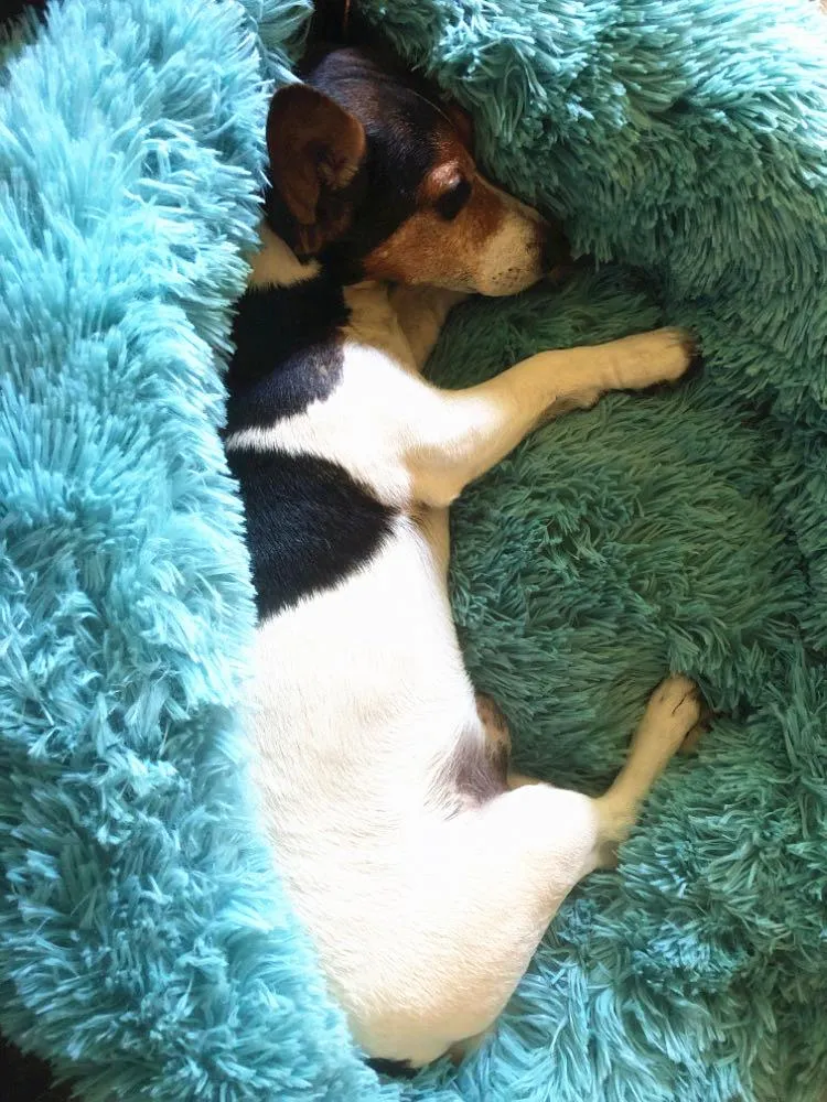 Teddy - Plush Calming Soft Pet Bed