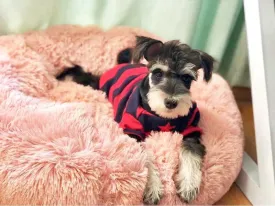 Teddy - Plush Calming Soft Pet Bed