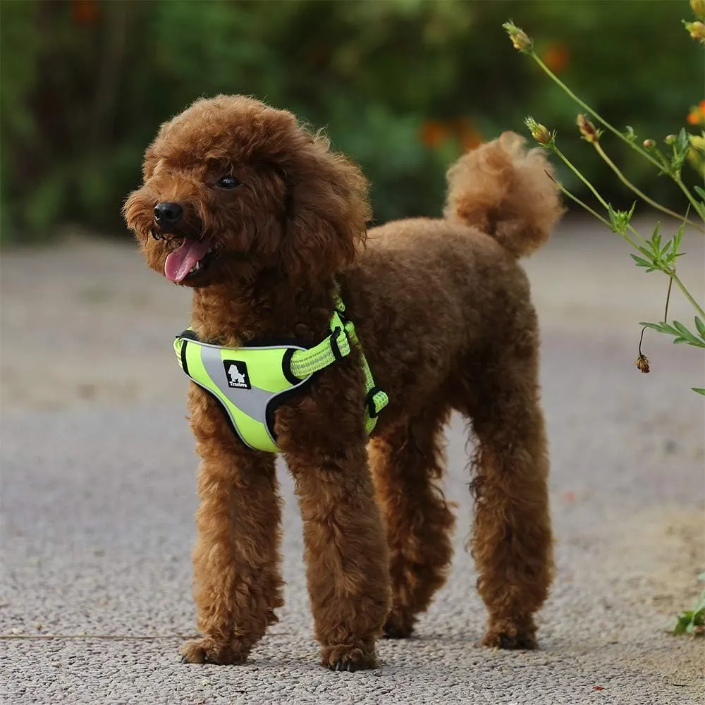 TRUE LOVE Dog Harness TLH5991 Anti Pull Safety Vest Step-in Style Harness for More Comfort and Less Tug Reflective Pet Harness by Truelove