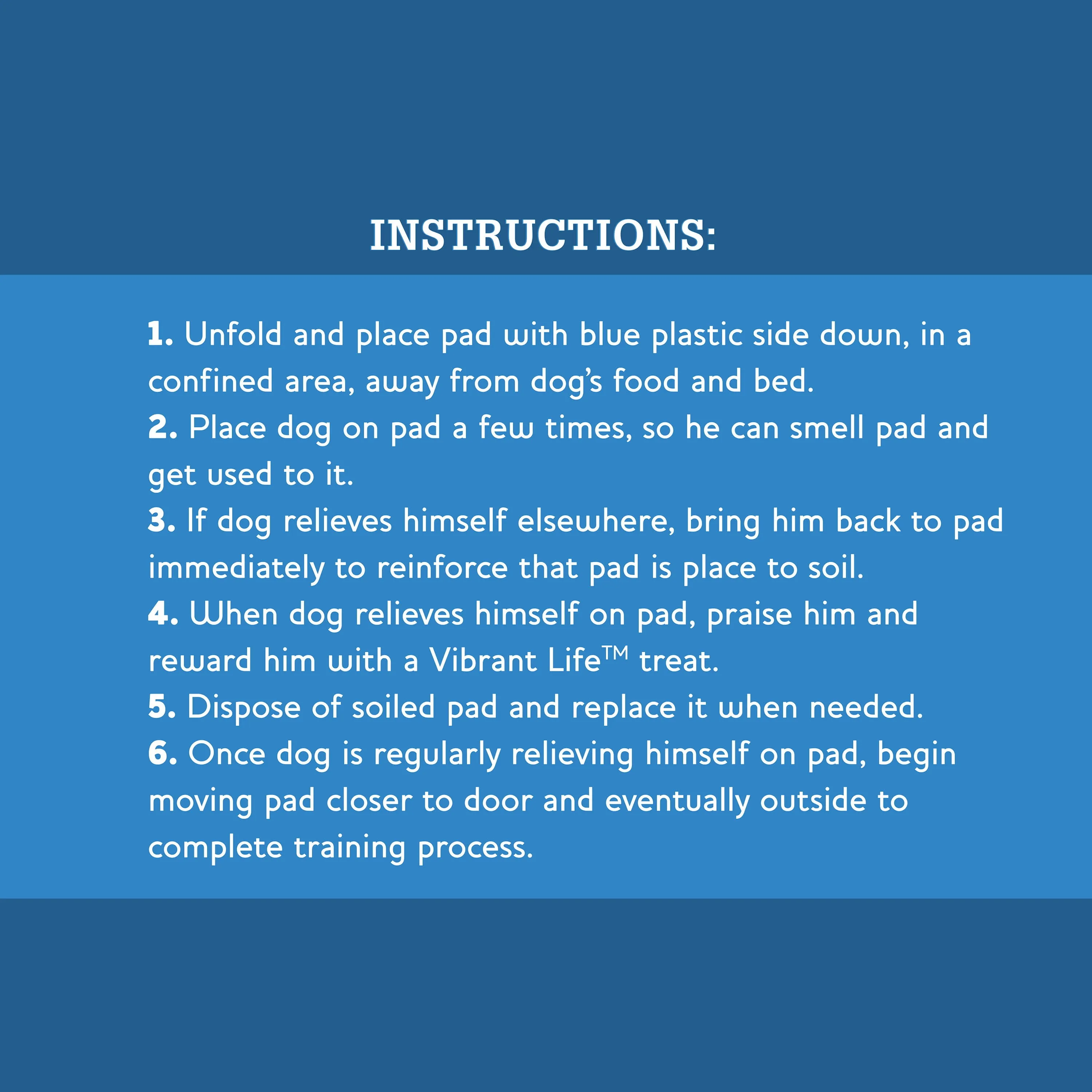 Vibrant Life Training Pads, Large, 22 in x 22 in, 100 Count